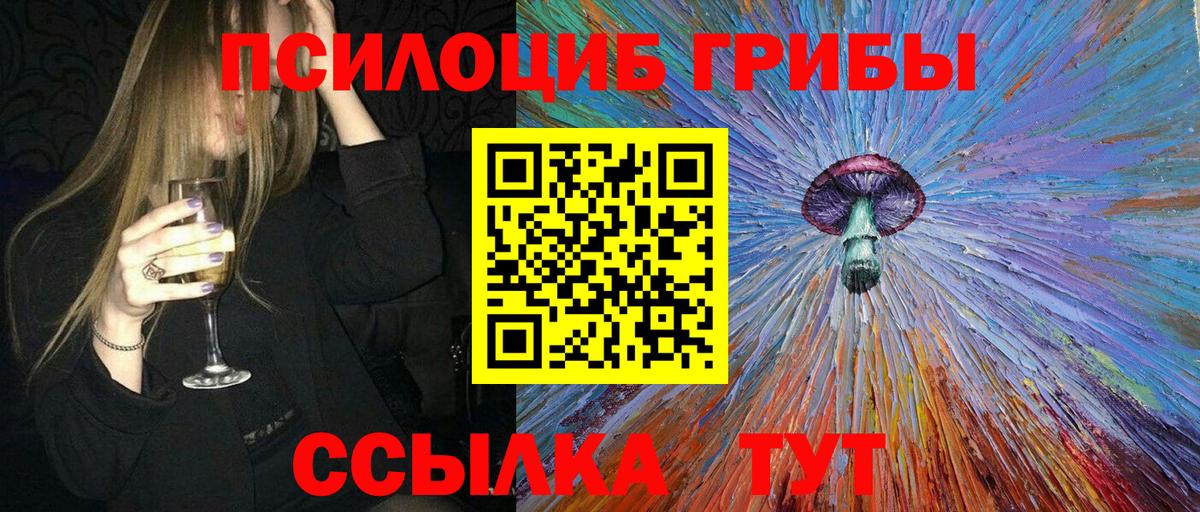 Псилоцибиновые грибы мицелий Зеленокумск